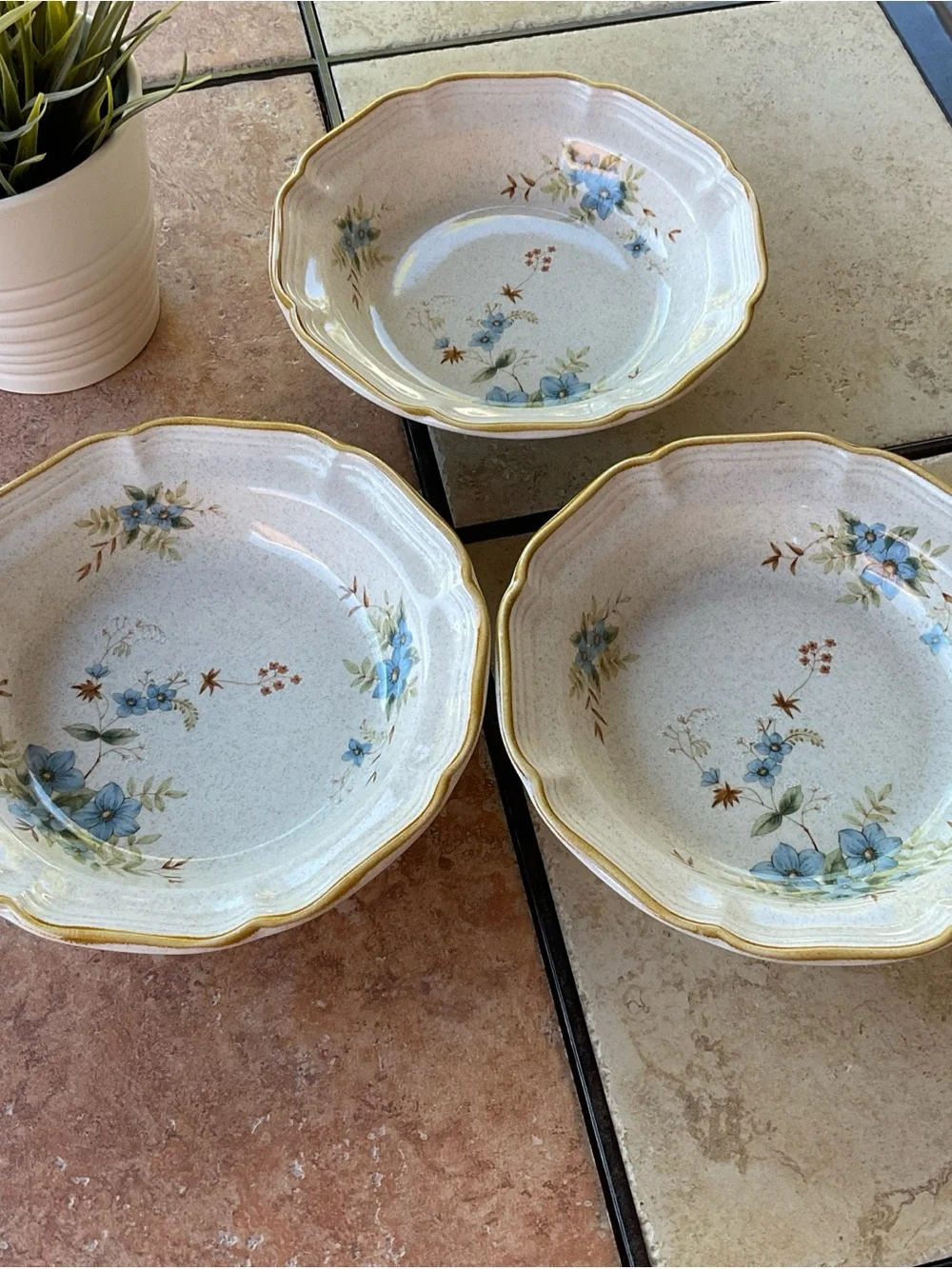 Mikasa Garden Club Day Dreams EC461 8” Soup Salad Bowls, Set of 3, EUC